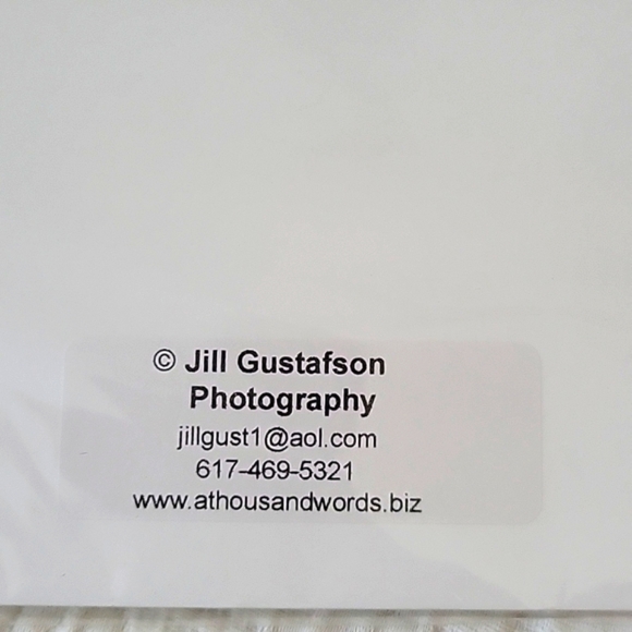 Abandon Railroad Tracks Photograph by Jill Gustafson - Picture 3 of 5